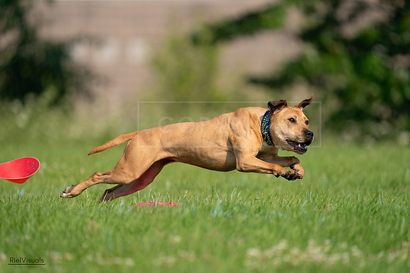 RielVisuals_20240727_093037_SJR06534