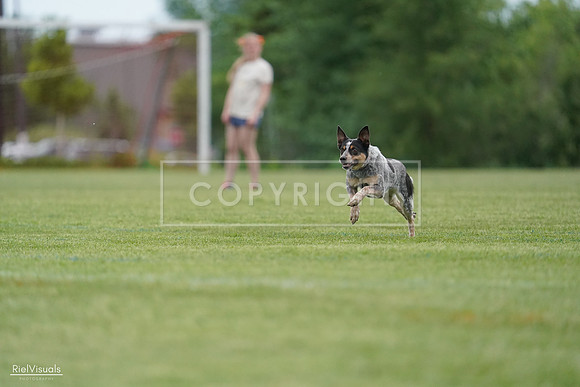 RielVisuals_20240525_164211_SJR05214