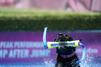 SJR01543