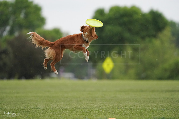 RielVisuals_20240526_093131_SJR00285