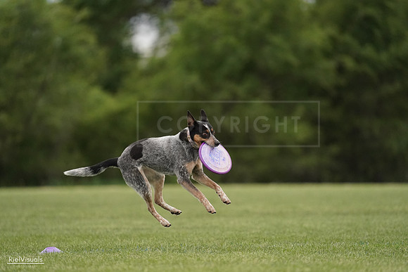 RielVisuals_20240526_132150_SJR07572