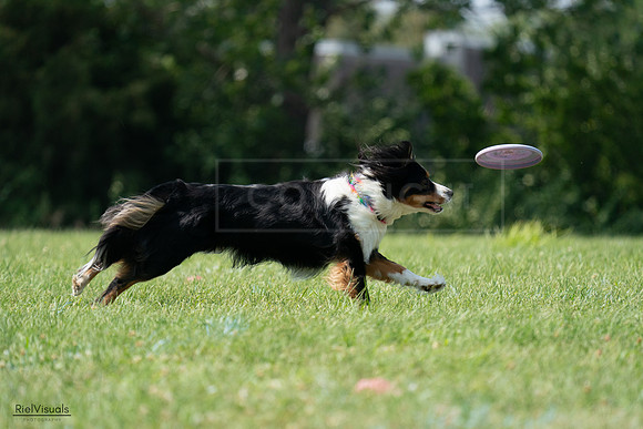 RielVisuals_20240728_144505_SJR09021