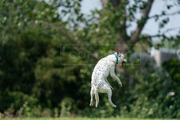 RielVisuals_20240727_134641_SJR08429