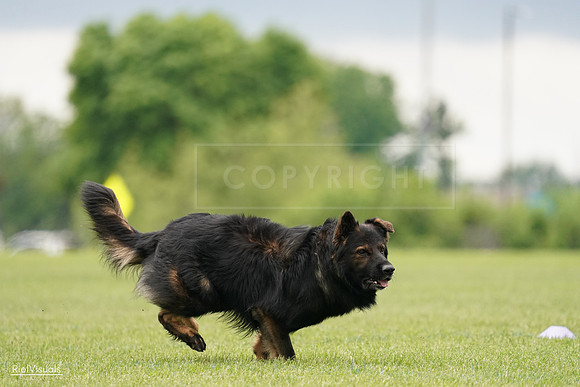 RielVisuals_20240527_132927_SJR09971