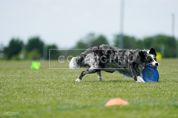 RielVisuals_20240525_124411_SJR01071