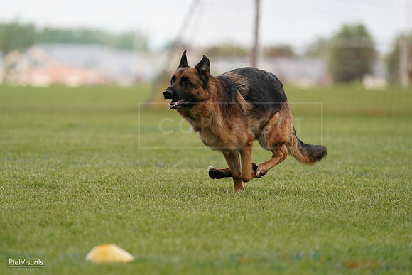 RielVisuals_20240527_140659_SJR01441