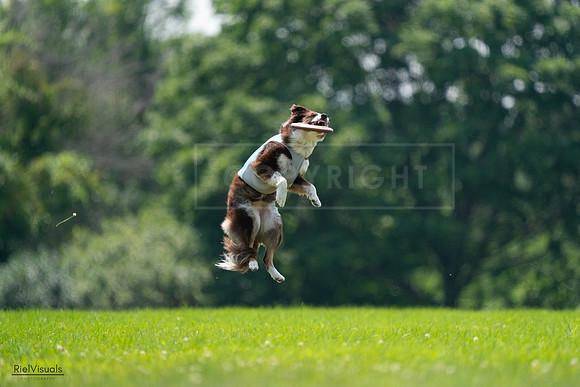 RielVisuals_20240727_130400_SJR06721