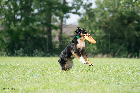 RielVisuals_20240728_143242_SJR08517