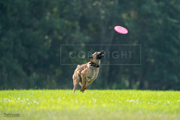 RielVisuals_20240727_123627_SJR05968