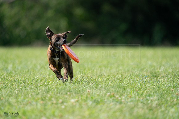 RielVisuals_20240728_151815_SJR00548