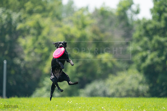 RielVisuals_20240727_125341_SJR06297