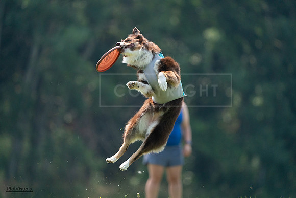 RielVisuals_20240727_120516_SJR04725