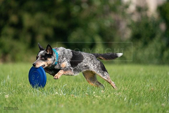 RielVisuals_20240727_094900_SJR07714