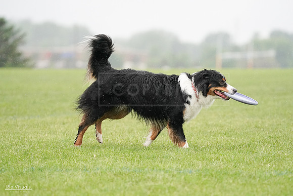 RielVisuals_20240527_104801_SJR01715
