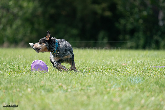 RielVisuals_20240728_145204_SJR09385