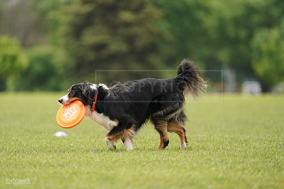 RielVisuals_20240527_132809_SJR09896