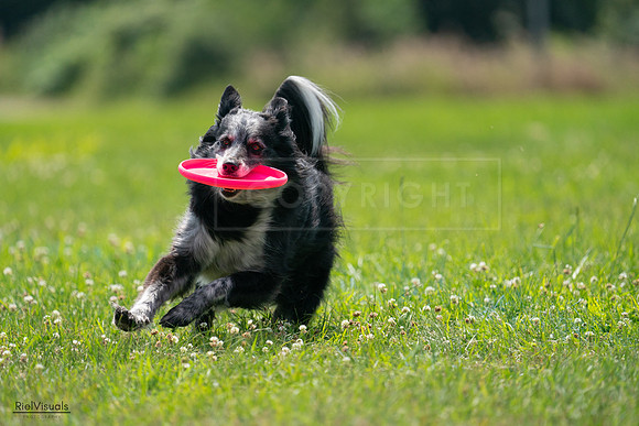 RielVisuals_20240728_134859_SJR07242