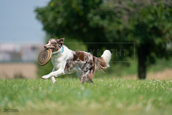 RielVisuals_20240727_115058_SJR04113