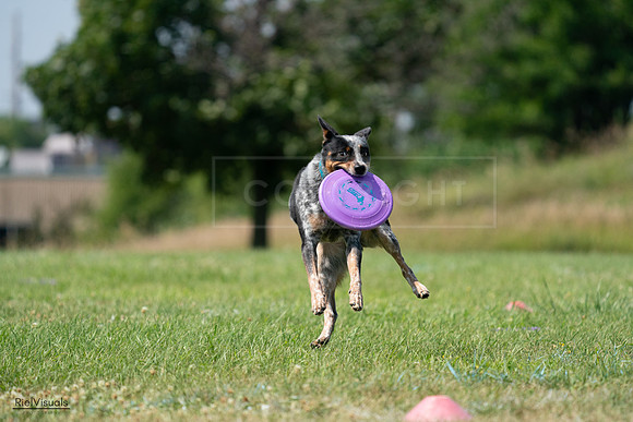 RielVisuals_20240728_145219_SJR09435