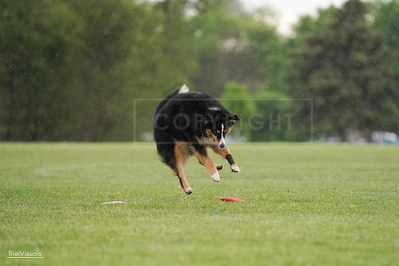 RielVisuals_20240526_094554_SJR00946