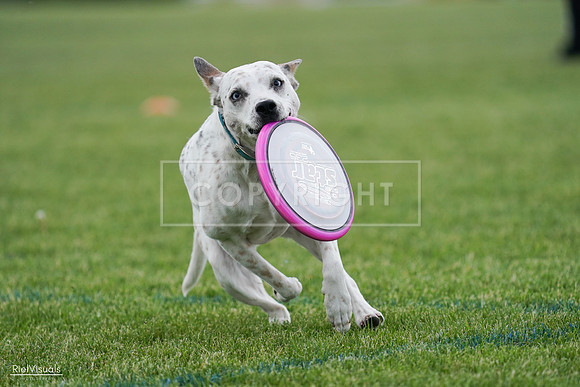 RielVisuals_20240525_135410_SJR09879