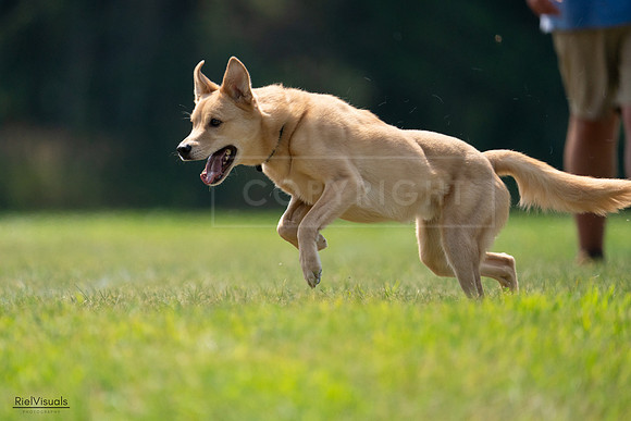 RielVisuals_20240727_120030_SJR04486