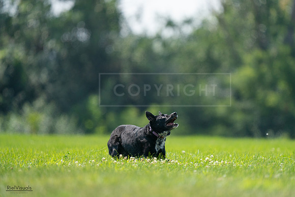 RielVisuals_20240727_125839_SJR06421