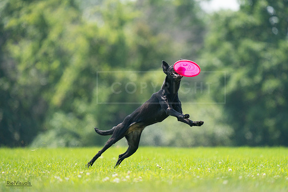RielVisuals_20240727_131042_SJR07104