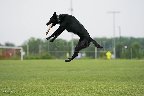 RielVisuals_20240527_093349_SJR07780