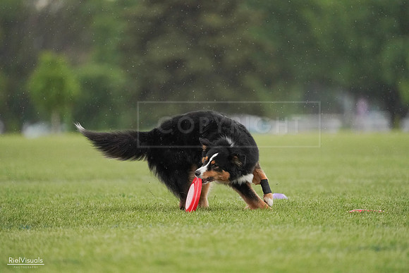 RielVisuals_20240526_094559_SJR00956