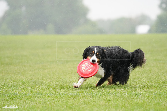RielVisuals_20240527_104718_SJR01664