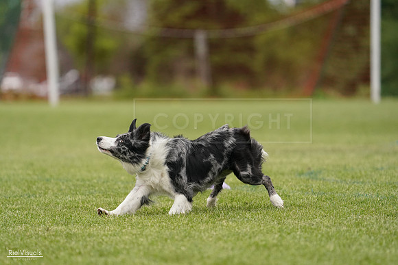 RielVisuals_20240526_133145_SJR08075