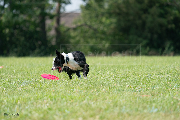 RielVisuals_20240728_144002_SJR08823