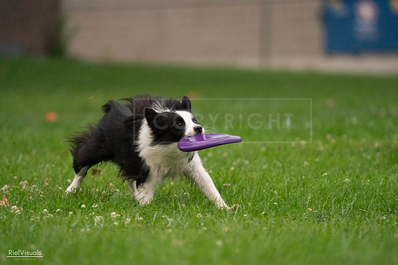 RielVisuals_20240722_194610_SJR02163
