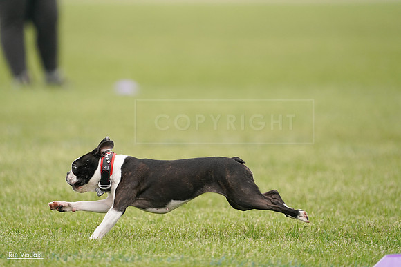 RielVisuals_20240527_142633_SJR02739