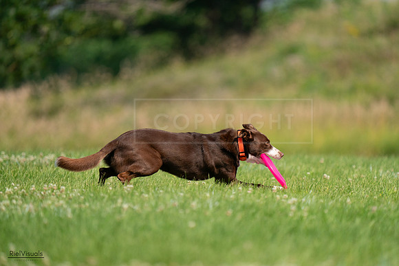 RielVisuals_20240727_100642_SJR08553