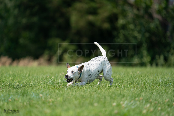 RielVisuals_20240727_134612_SJR08352