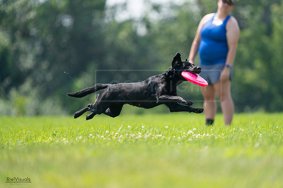 RielVisuals_20240727_125411_SJR06333