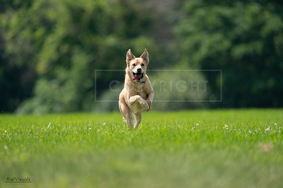 RielVisuals_20240727_120045_SJR04499