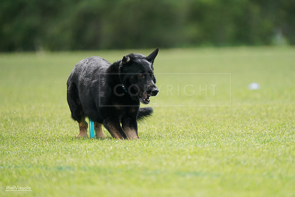 RielVisuals_20240527_141302_SJR02017