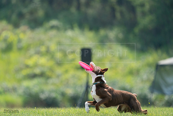 RielVisuals_20240727_122140_SJR05383