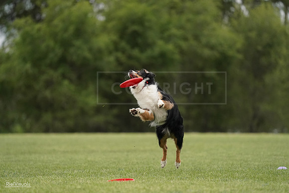 RielVisuals_20240526_131746_SJR07436