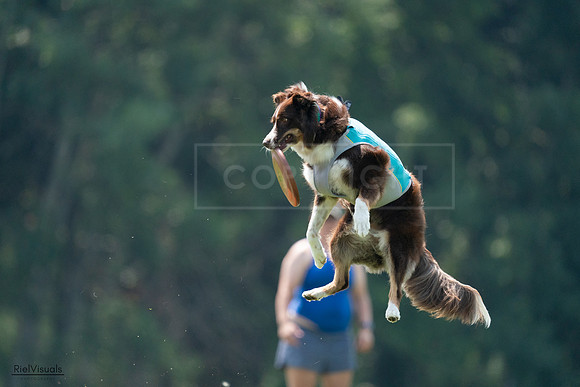 RielVisuals_20240727_120516_SJR04729