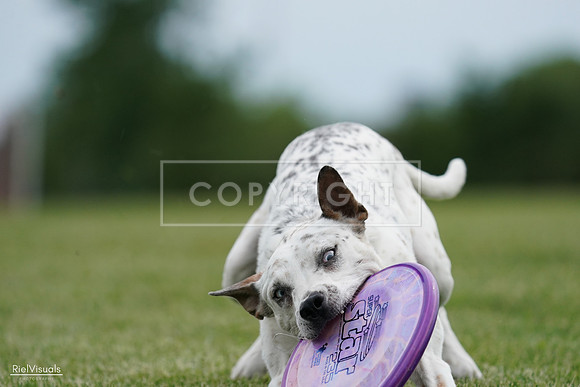 RielVisuals_20240525_160430_SJR03418