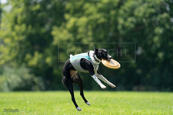 RielVisuals_20240728_132802_SJR06299