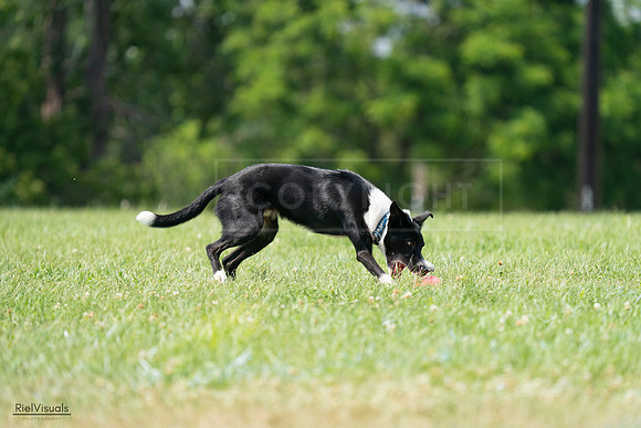 RielVisuals_20240728_144027_SJR08872
