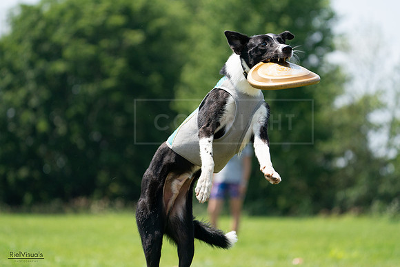 RielVisuals_20240728_132814_SJR06321