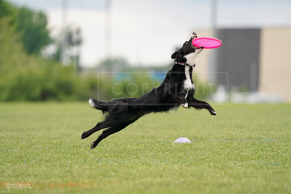 RielVisuals_20240527_132121_SJR09478
