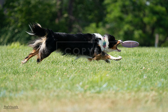 RielVisuals_20240728_144506_SJR09026
