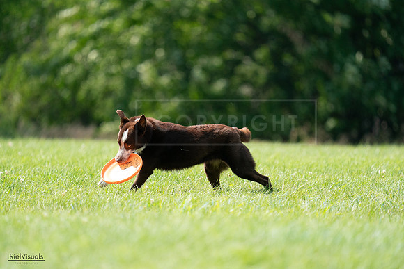RielVisuals_20240728_152000_SJR00578